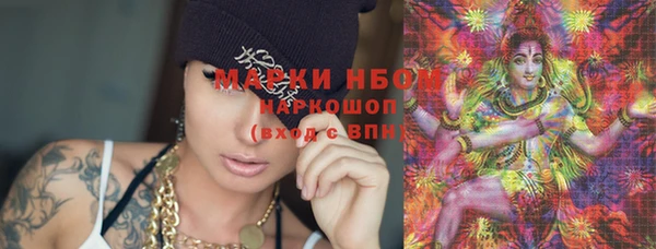сатива Алексеевка