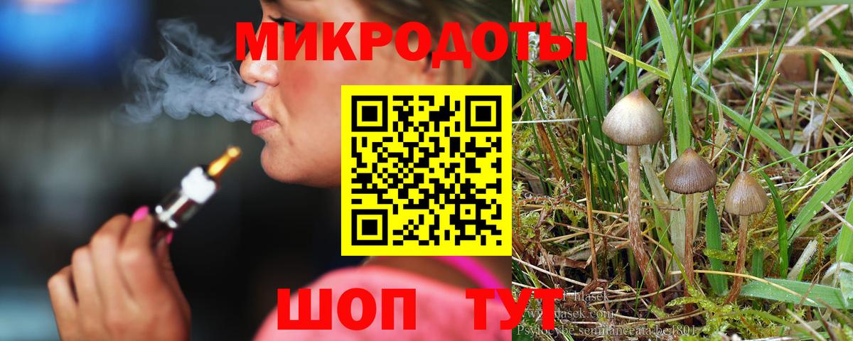 Галлюциногенные грибы прущие грибы Тюмень